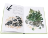 Болтливая сорока (в комплекте из 15 книг) Серия: Школьная библиотека инфо 2530b.