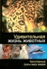 Удивительная жизнь животных Серия: Мир вокруг нас инфо 2430n.